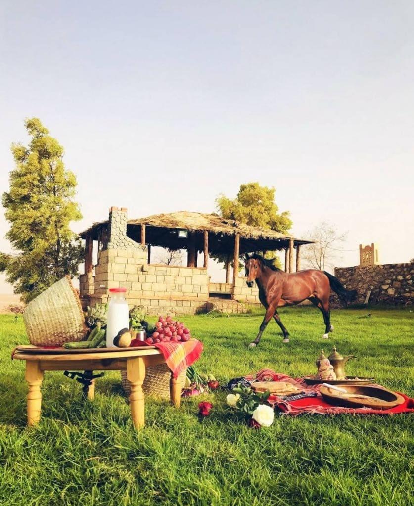 Ferme Habib Résidence