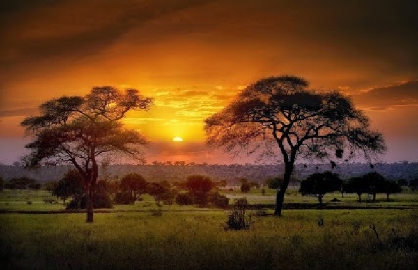 Tanzanie