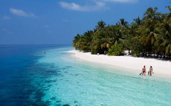 Les îles Maldives